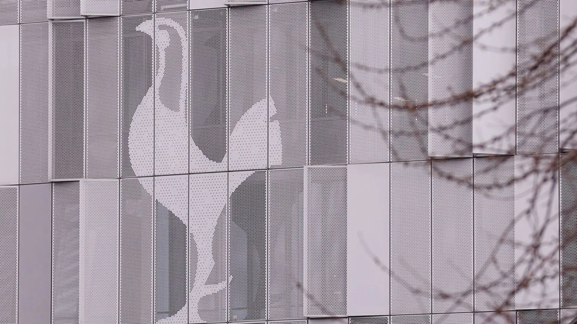 Tottenham x Arsenal: onde assistir ao clássico da Premier League