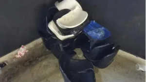 Botafogo calcula R$ 229 mil em prejuízo com torcedores do Peñarol; veja os detalhes