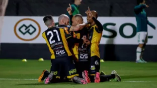 Tigre luta para se aproximar do acesso (Foto: Higor Basso/Novorizontino)
