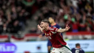 Húngaros abriram o placar na partida (David Balogh/Getty Images)