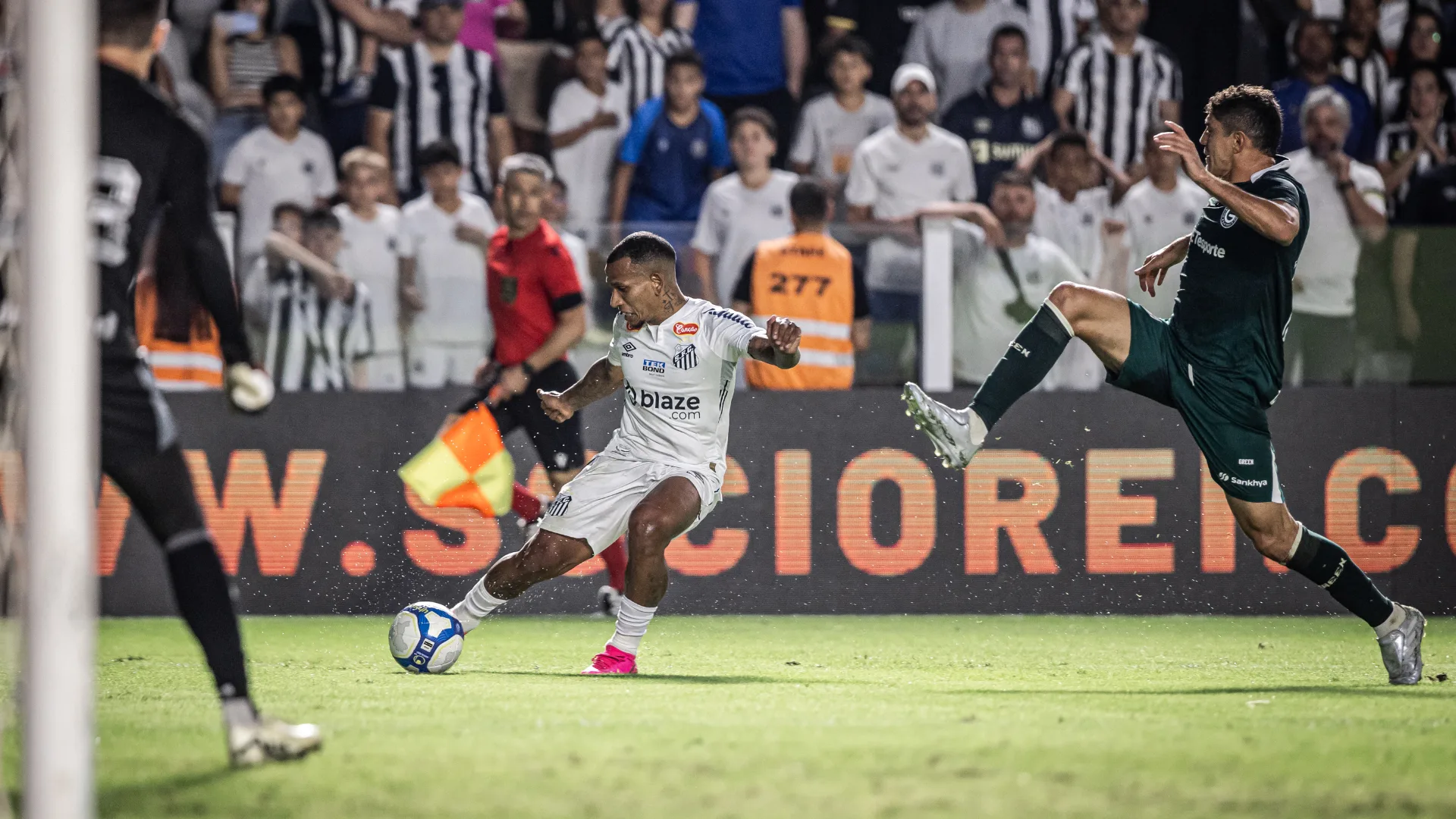 Goiás x Santos: onde assistir ao jogo do Peixe no Brasileirão Série B