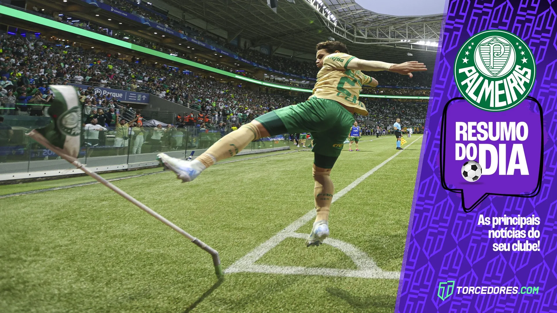 Convocados voltam aos treinos, plano para Vitor Reis, Estêvão perto de recorde de Endrick: veja as notícias do Palmeiras hoje (18)   