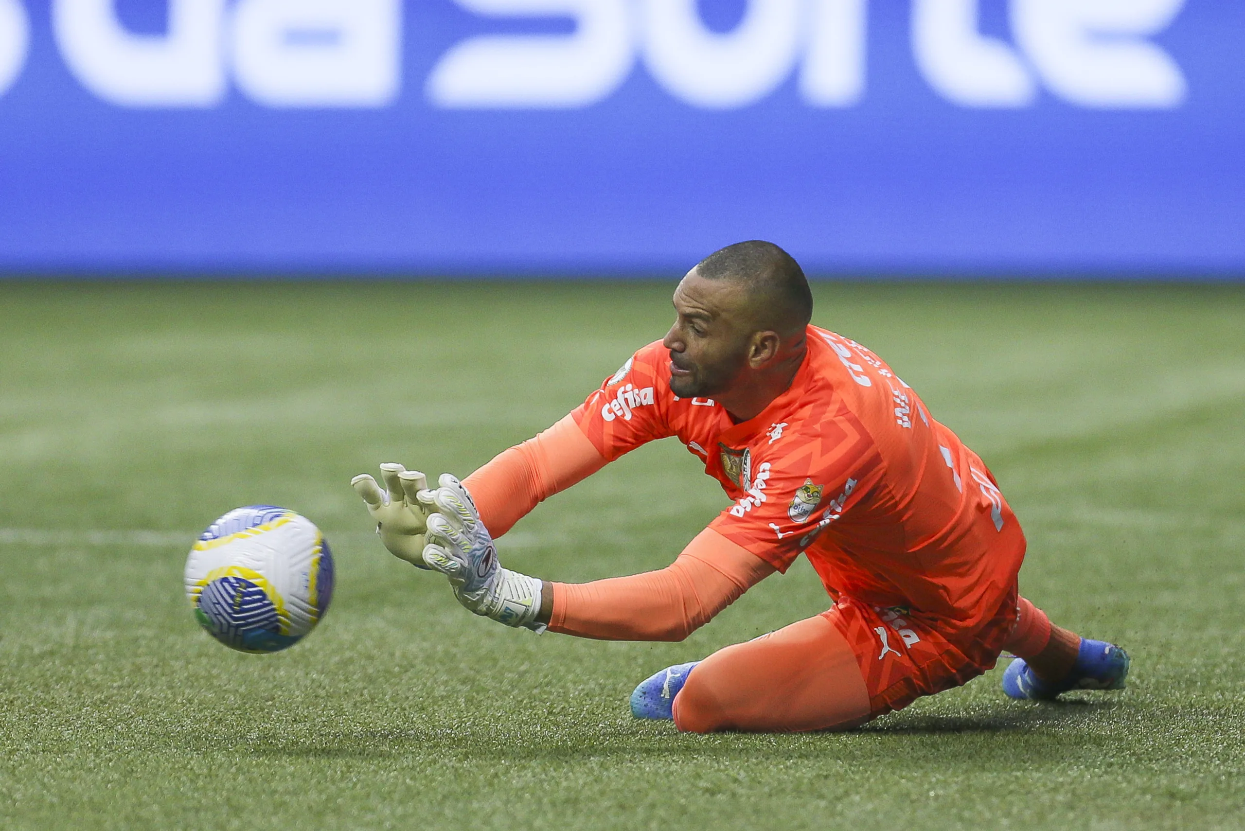 Weverton, convocado para seleção brasileira, alcança marca histórica no Palmeiras