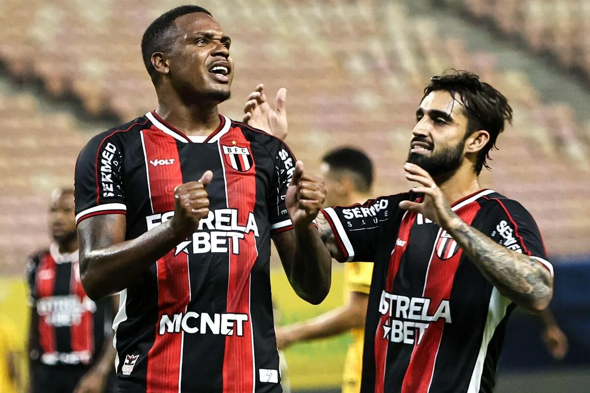 Palpite: Botafogo-SP x Avaí – Série B – 18 de novembro de 2024