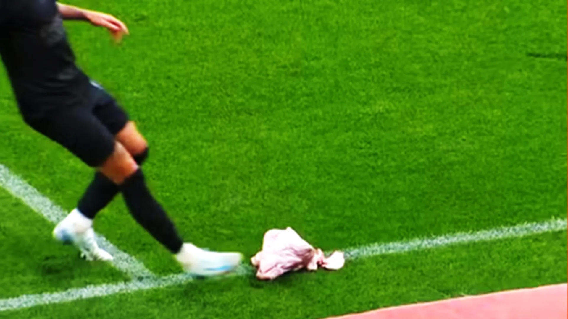 Samir Carvalho detalhou forma como a cabeça de porco entrou na Neo Química Arena