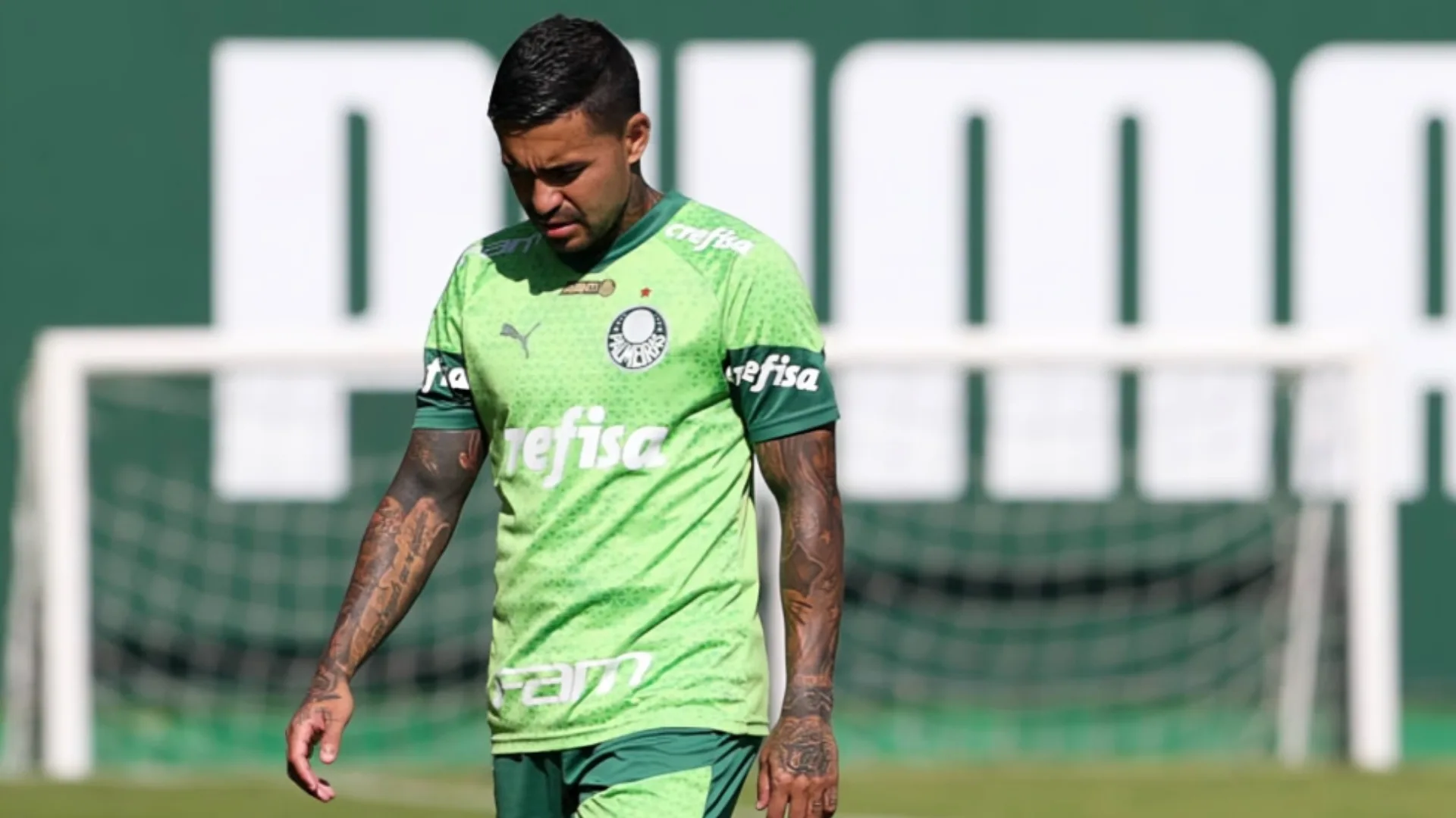 Leila encerra novela e define futuro de Dudu no Palmeiras: “Sou transparente”