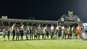 Palmeiras vence, ultrapassa Botafogo e é o novo líder do Brasileirão