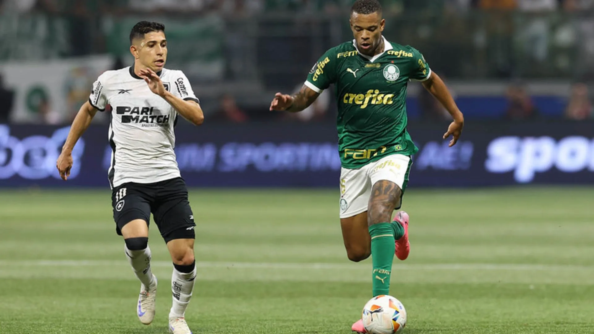 Palmeiras x Botafogo: onde assistir ao jogo do Brasileirão Série A