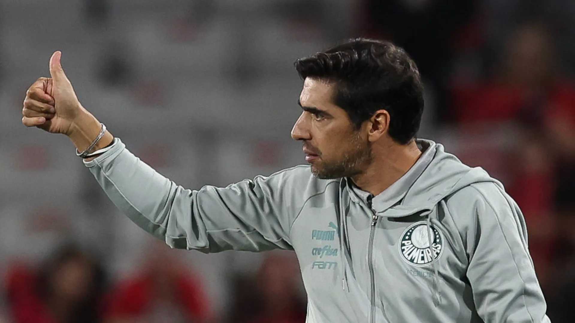 André Hernan aponta posições que o Palmeiras irá reforçar para 2025: “Está no planejamento”