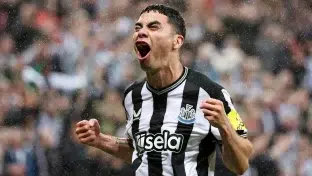 Atacante do Newcastle estaria sendo sondado pelo Botafogo (Foto: Divulgação/Newcastle)