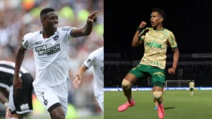 Botafogo ou Palmeiras: torcedores elegem quem deve ser o campeão Brasileiro de 2024 