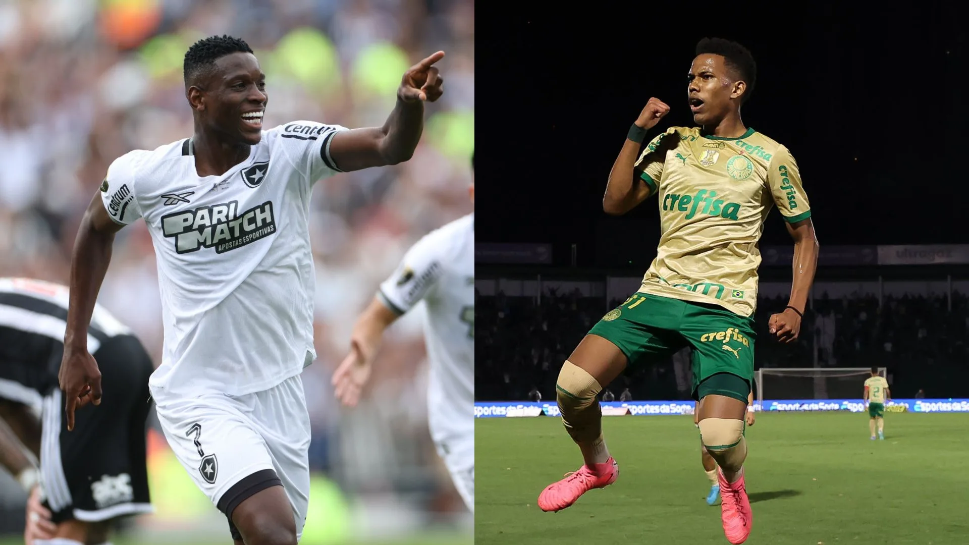 Botafogo ou Palmeiras: torcedores elegem quem deve ser o campeão Brasileiro de 2024 