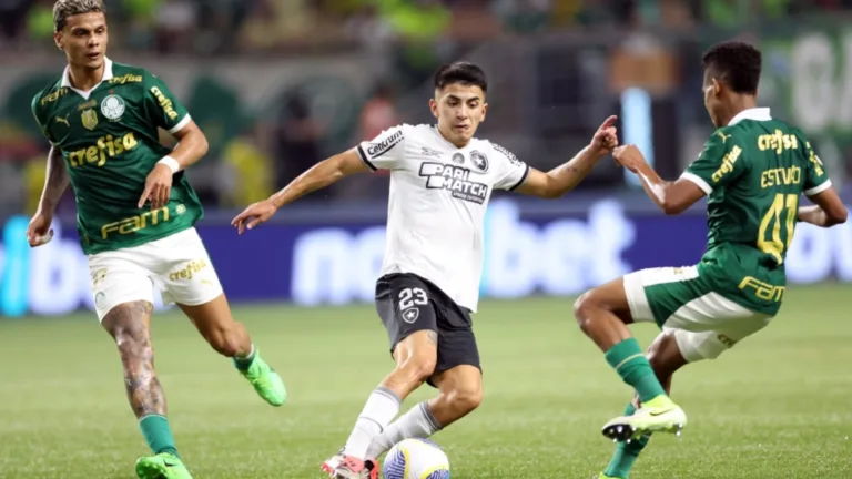 Denílson crava resultados de Botafogo e Palmeiras na rodada final do Brasileirão