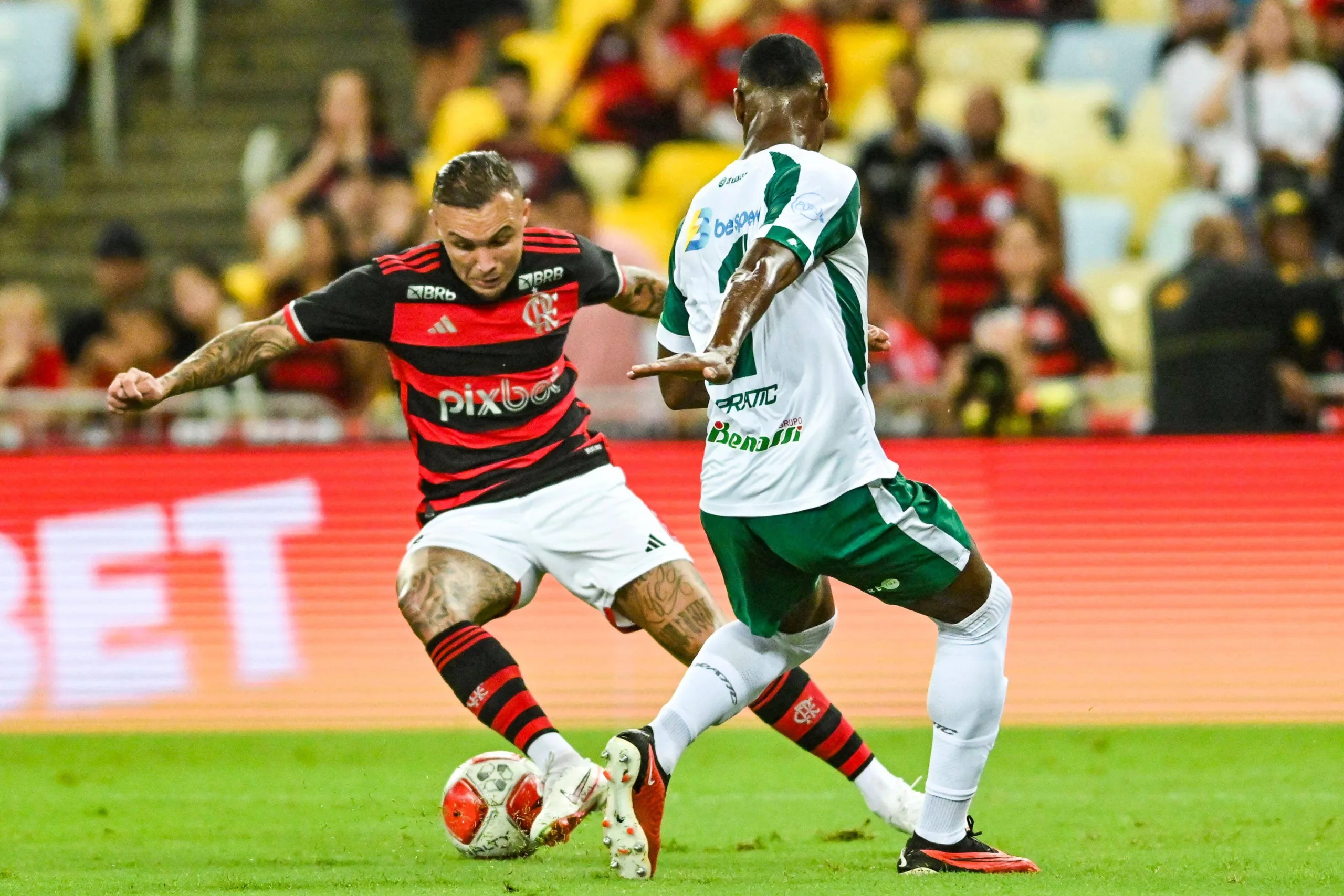 Flamengo x Boavista: 12 anos sem derrota Rubro-negra; veja odds