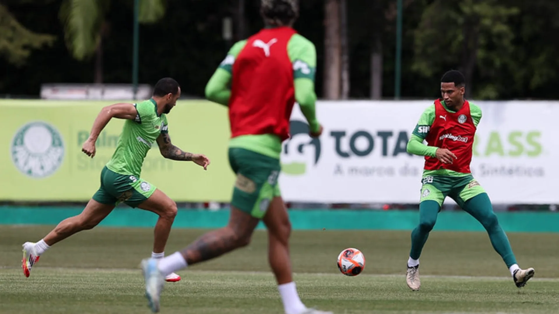 Palmeiras adota cautela sobre parte física dos jogadores por conta da curta pré-temporada