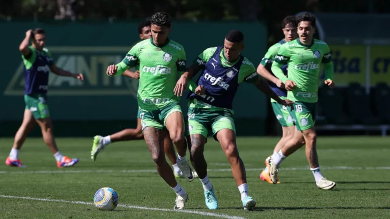 Palmeiras recebeu proposta milionária da Premier League por titular