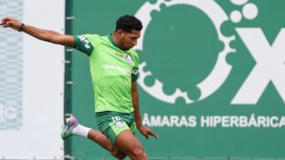 Palmeiras encontra dificuldades para negociar atacante (Foto: Fabio Menotti/Palmeiras/by Canon)