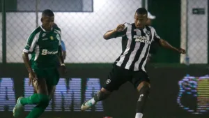 Marlon Freitas diz se arrepender de ‘piscadinha’ em Botafogo x Palmeiras: “Dói demais”