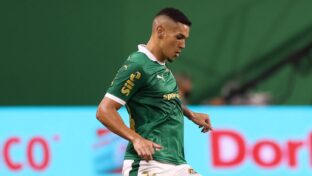 Zagueiro está na mira de times da Série A . (Foto: Cesar Greco/Palmeiras/by Canon)