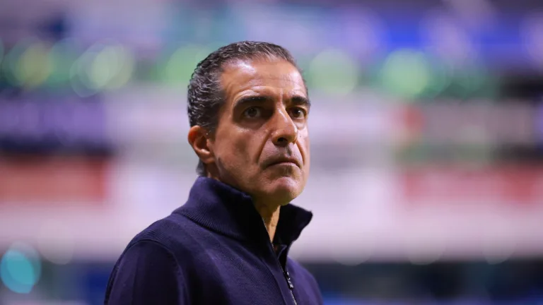 Botafogo anuncia Renato Paiva como novo treinador para 2025