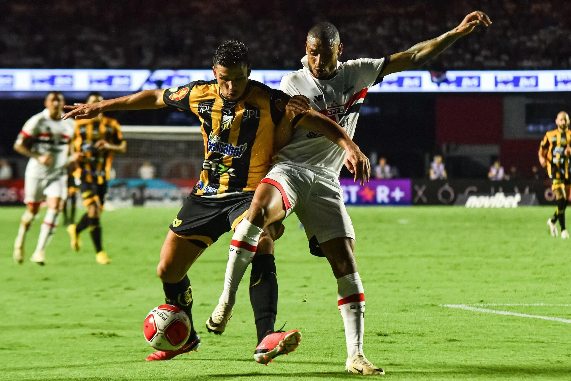 São Paulo x Novorizontino: visitante irá repetir feito do ano passado? Veja odds