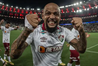 Felipe Melo, ex-jogador