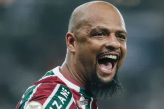 Felipe Melo, ex-jogador