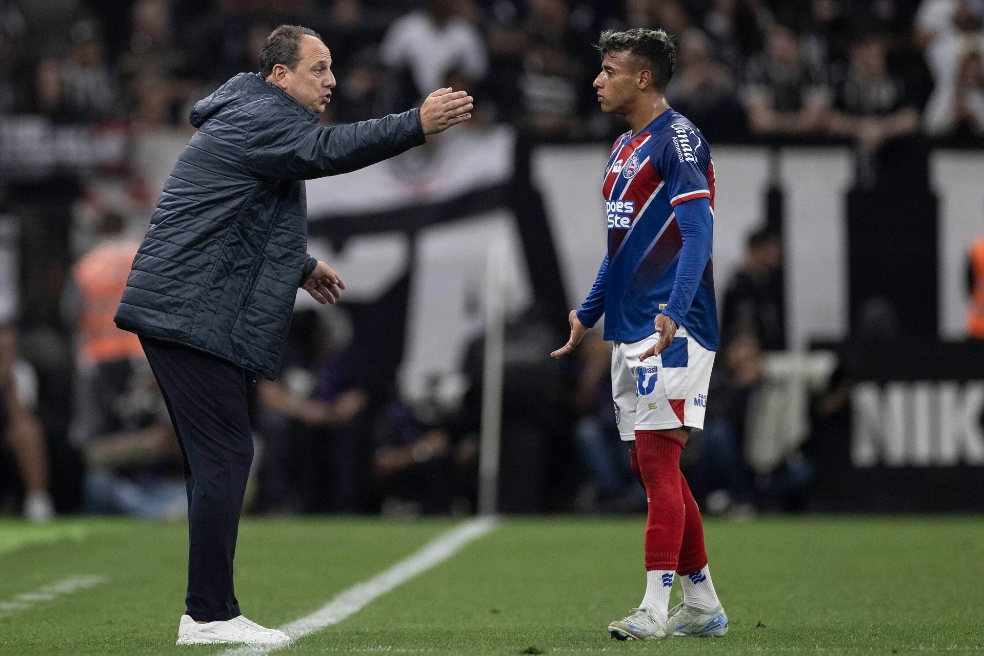 Bahia busca primeira vitória no Brasileirão; veja odds contra o Cruzeiro