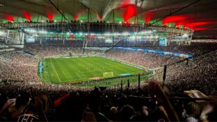 Fluminense x Santos: onde assistir ao jogo do Brasileirão (Foto: Marina Garcia/ Fluminense FC)