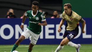 Atacante está em suas últimas partidas pelo Verdão (Foto: Cesar Greco/Palmeiras/by Canon)