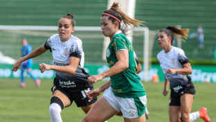Jogo entre Palmeiras e Corinthians feminino - (Fabio Menotti/Palmeiras)