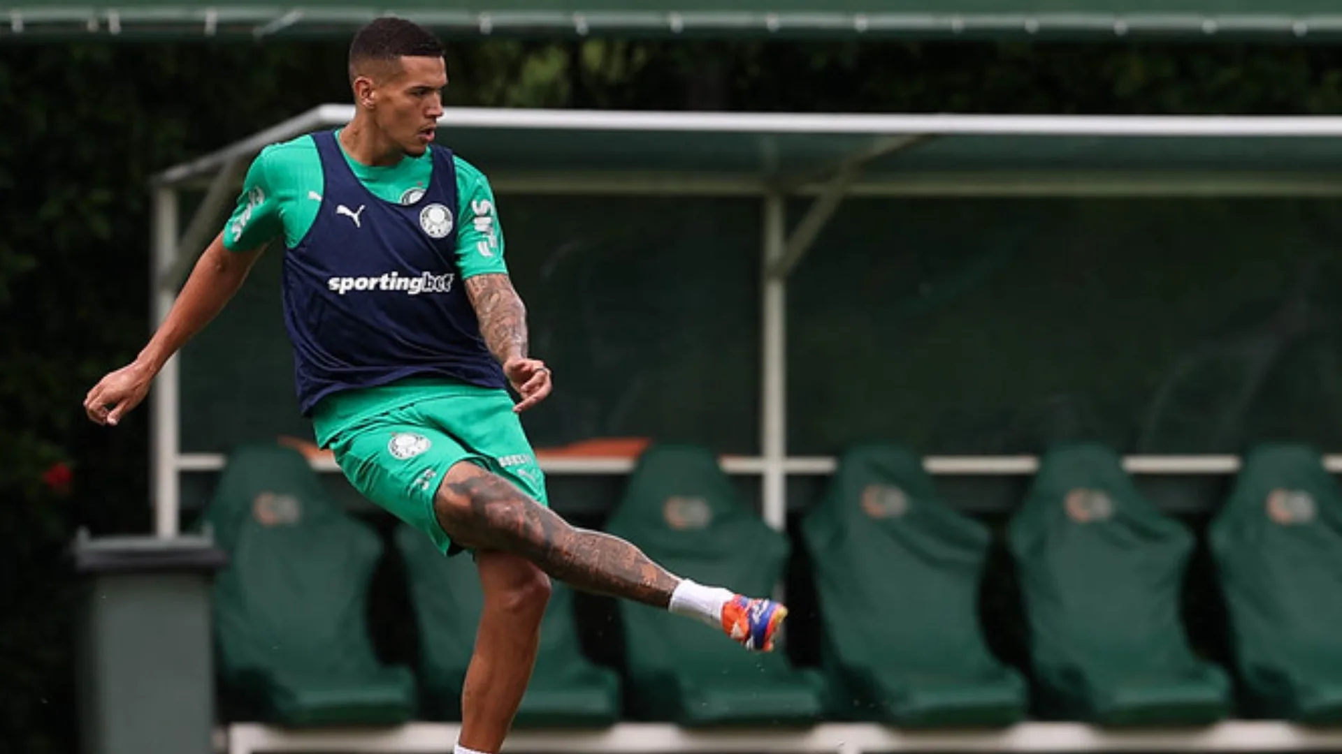 Botafogo tem interesse em Naves, do Palmeiras, que não libera o jovem zagueiro