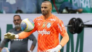 Weverton em ação pelo Verdão - Divulgação/Palmeiras