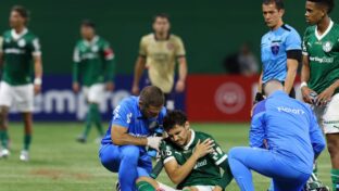 Meia lesionou o ombro em partida da Libertadores (Foto: Cesar Greco/Palmeiras/by Canon)