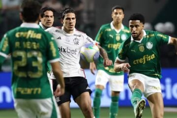 Caio Ribeiro, ex-jogador
