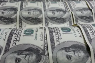 Notas de dólar