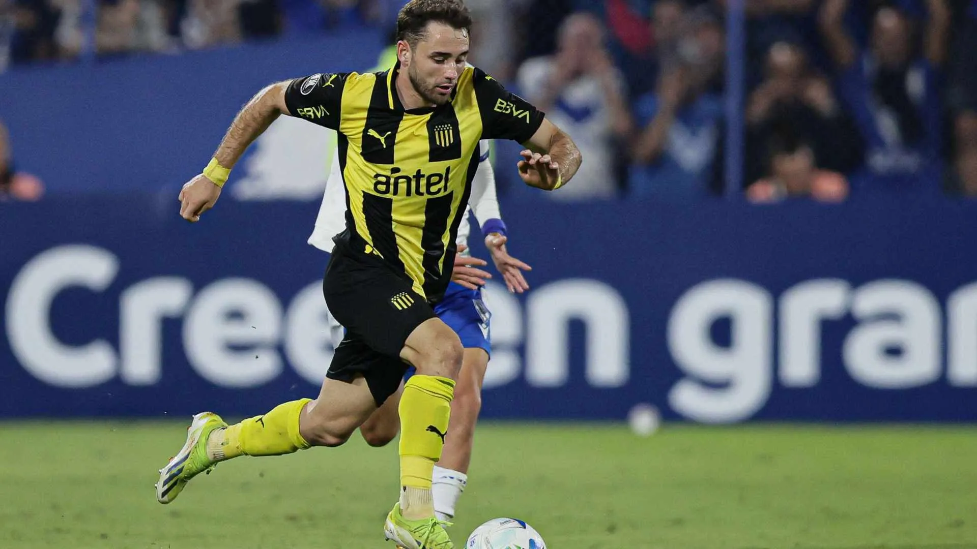 Palpite Peñarol x Olimpia – Libertadores – 14/05/2025