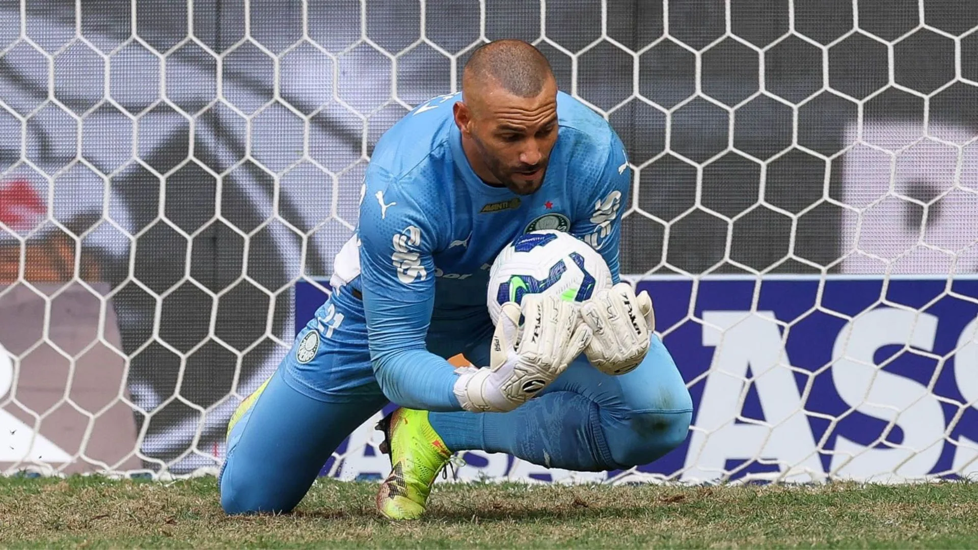Weverton, do Palmeiras, é eleito o melhor goleiro do Brasileirão em abril
