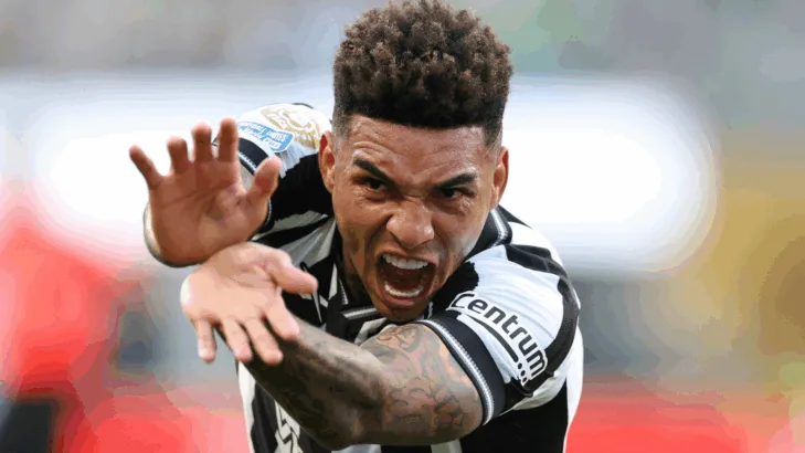Botafogo no Mundial: torcedores criticam Renato Paiva, e público exalta atuação de Igor Jesus