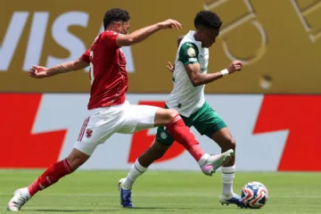 Estêvão em ação pelo Palmeiras