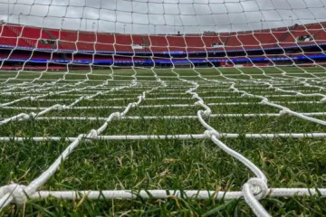 Santos planeja ter mais partidas do Brasileirão como mandante no MorumBis
