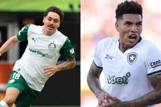 Palmeiras e Botafogo