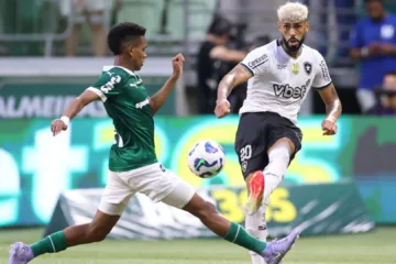 Rizek sinaliza “respiro” que pode fazer o Botafogo eliminar o Palmeiras no Mundial: “Vai trazer mais dificuldades”