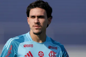 Formiga crava que Flamengo ideal não tem Pedro