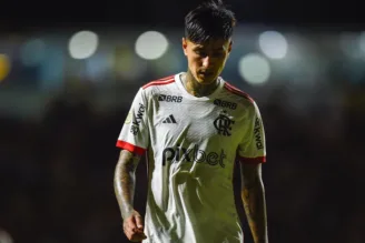 Erick Pulgar, em jogo do Flamengo no Brasileirão