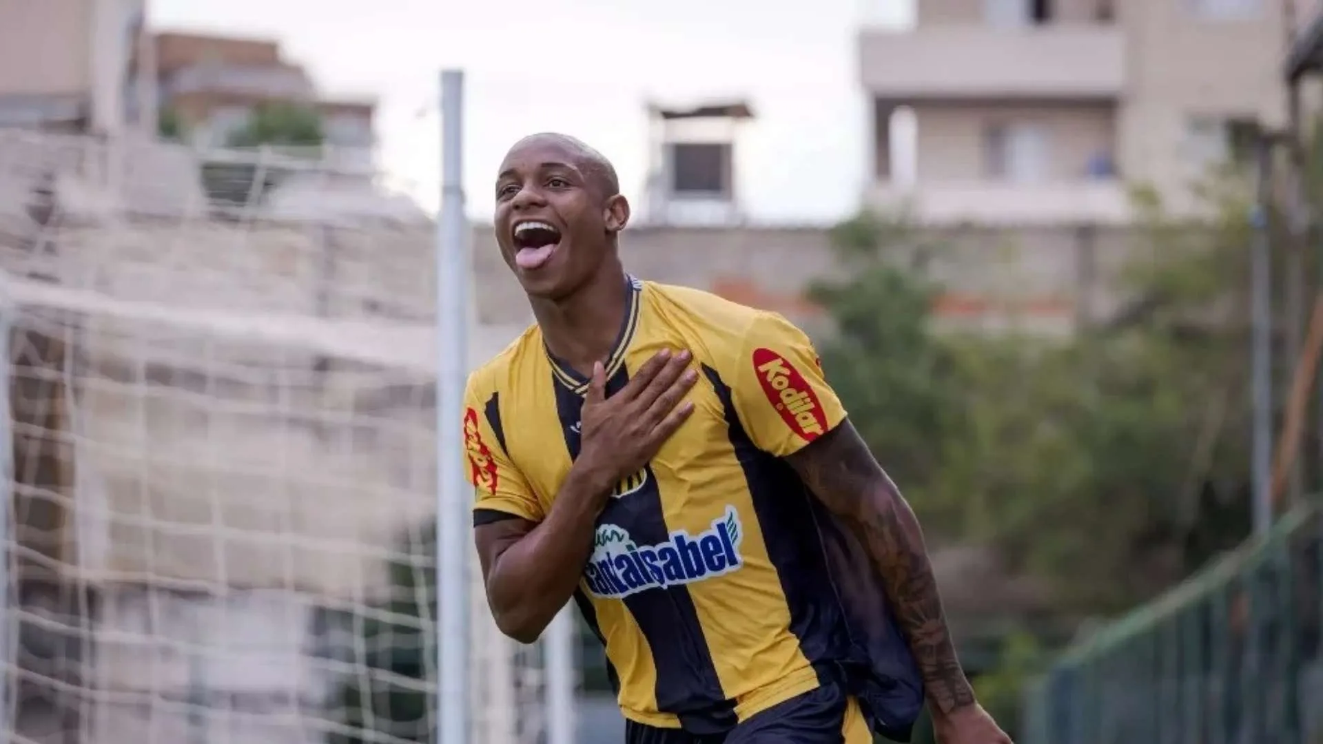 Botafogo avança para contratar zagueiro Dantas, do Novorizontino, e causa estranheza na torcida: “Esse clube tá esquisito”