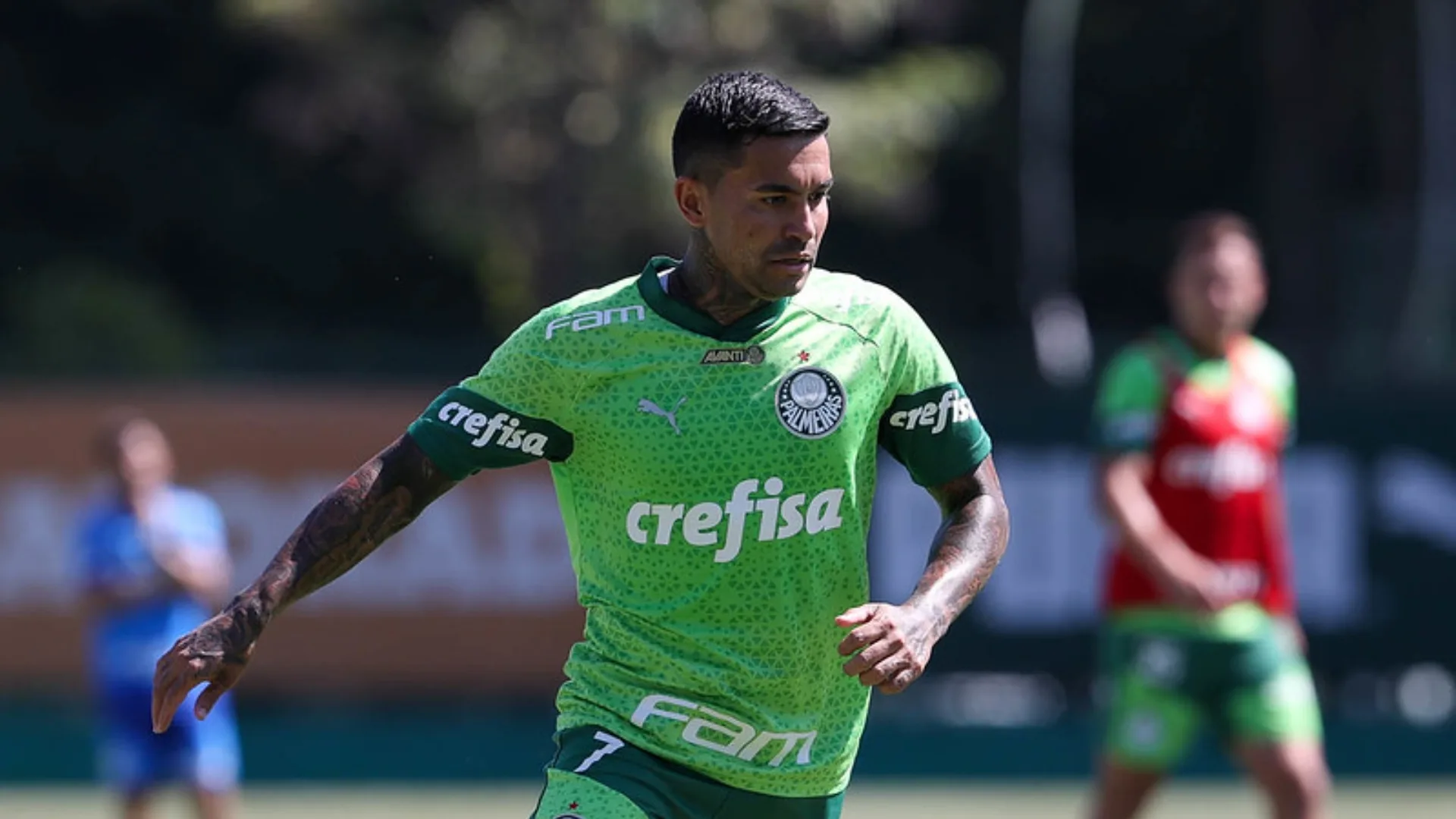 Massini critica postura de Dudu em áudios polêmicos: “Achou que era maior que o Palmeiras”