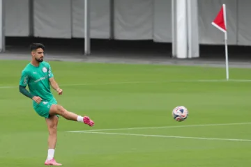 Nicola projeta futuro de Flaco López no Palmeiras após proposta do River Plate: “Decidiu”