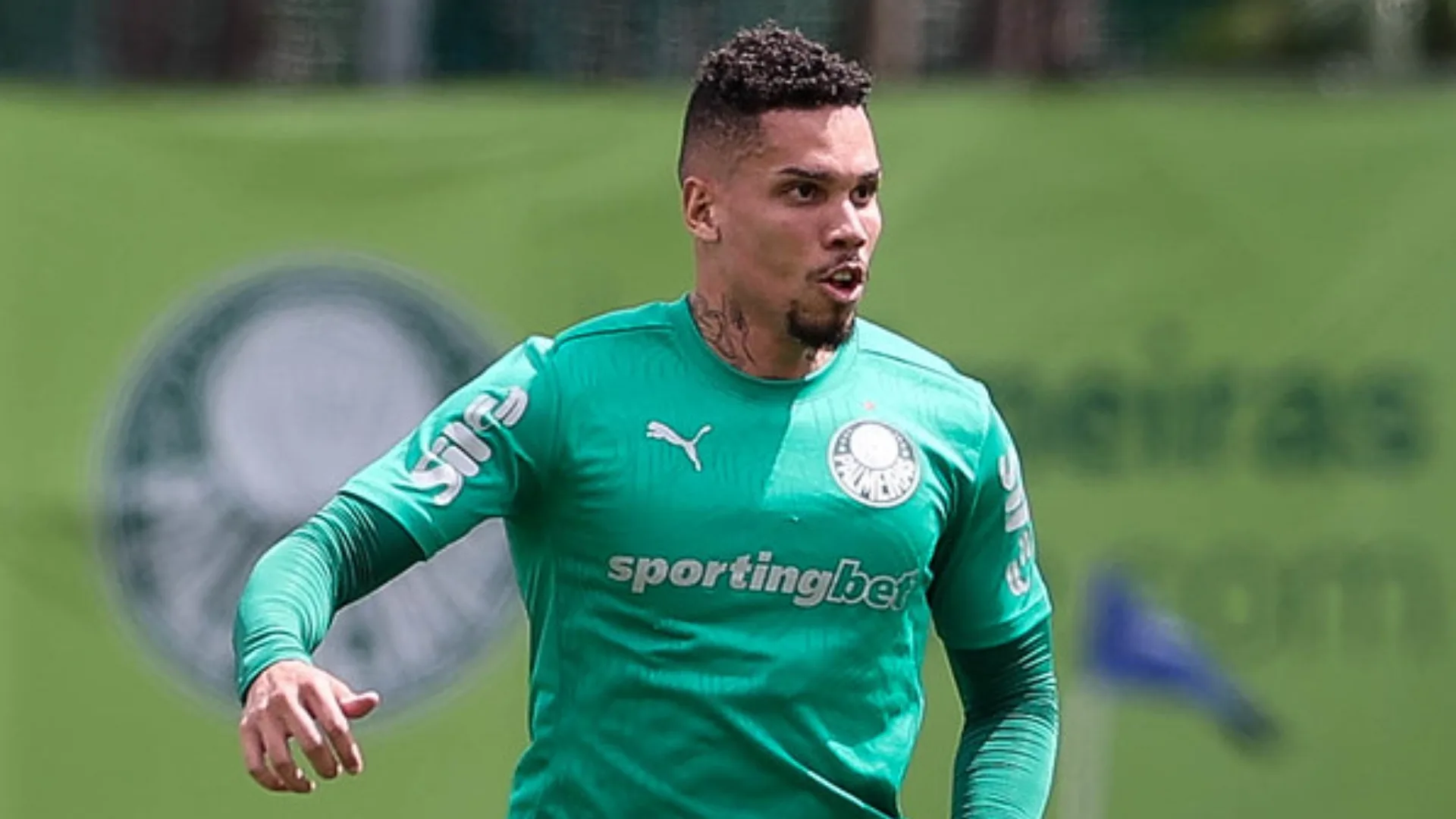 Paulinho fará nova cirurgia no Palmeiras após o Mundial de Clubes e Pedro Pontin, médico do Alviverde, explica lesão