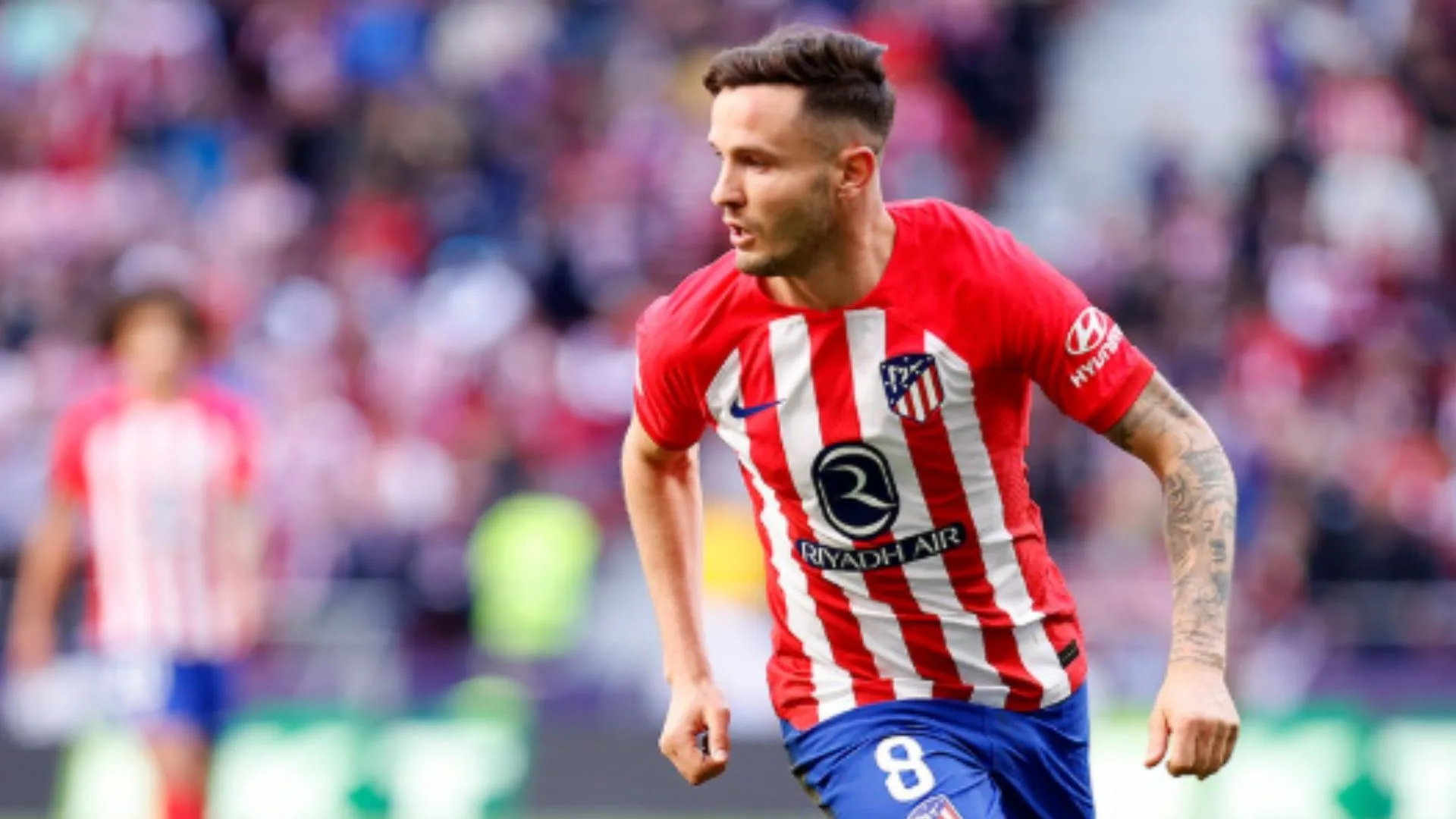 Felipe Melo alerta torcida do Flamengo sobre Saúl Ñíguez: “Não é o jogador de 10 anos atrás”